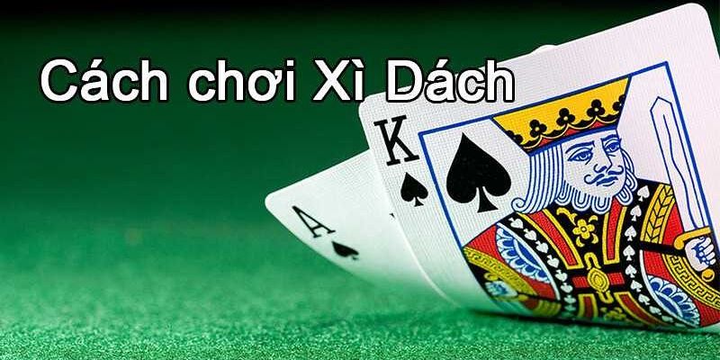 Cách chơi Xì Dách online bao thắng